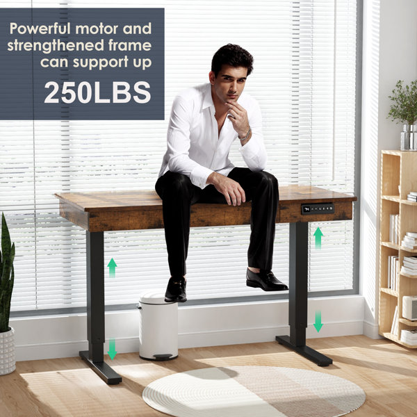 View of 17 Stories Electric Standing Desk, 48 X 24 In Height Adjustable Desk ...